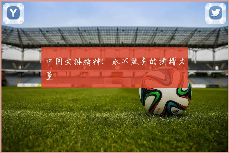 中国女排精神:永不放弃的拼搏力量